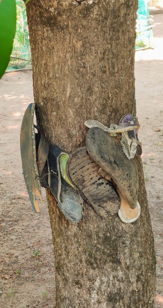 Slippers tied on the tree